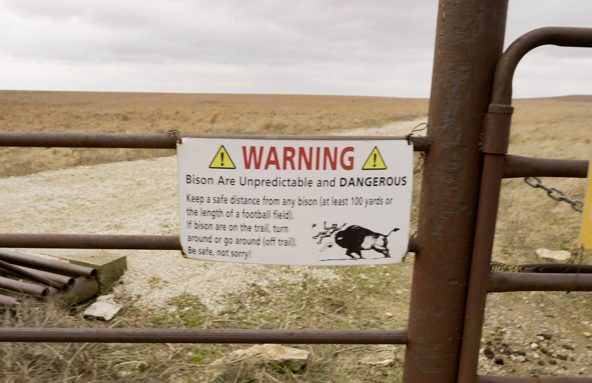 Austin Jones tweet media