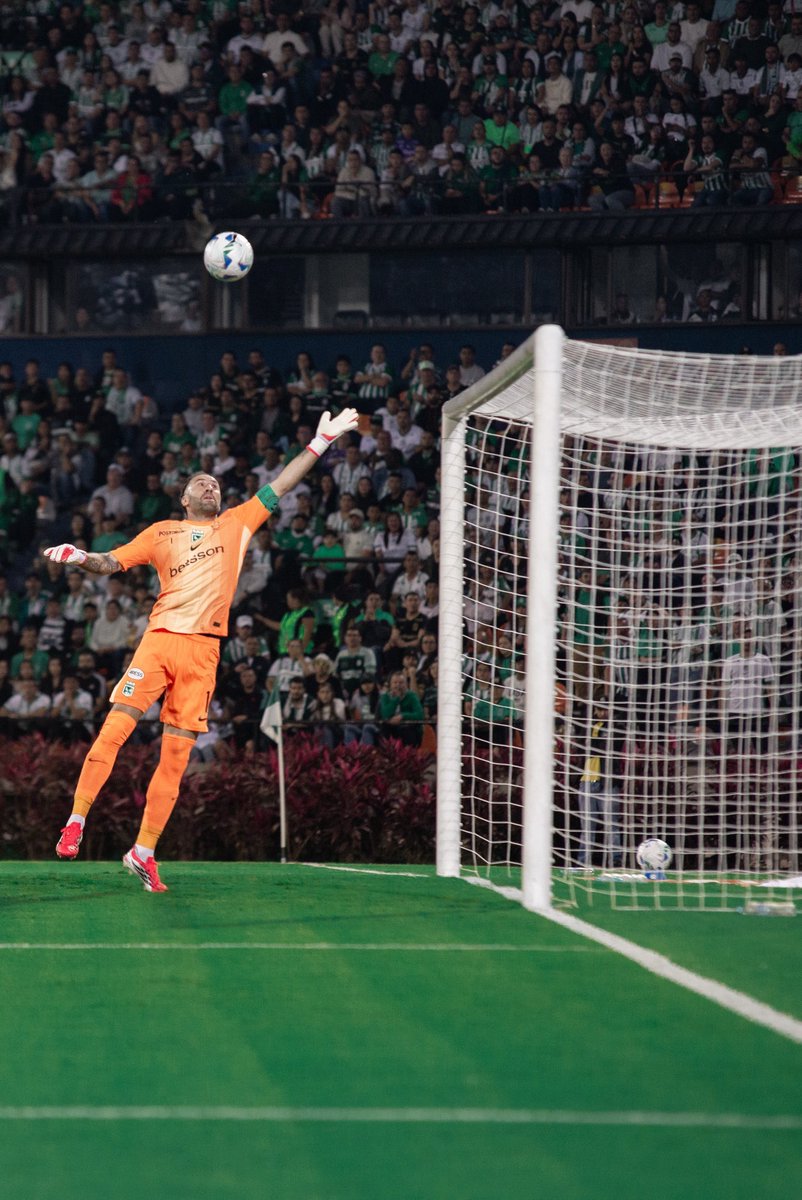 Hay que saltar 
Hay que saltar 
El que no salta 🎶