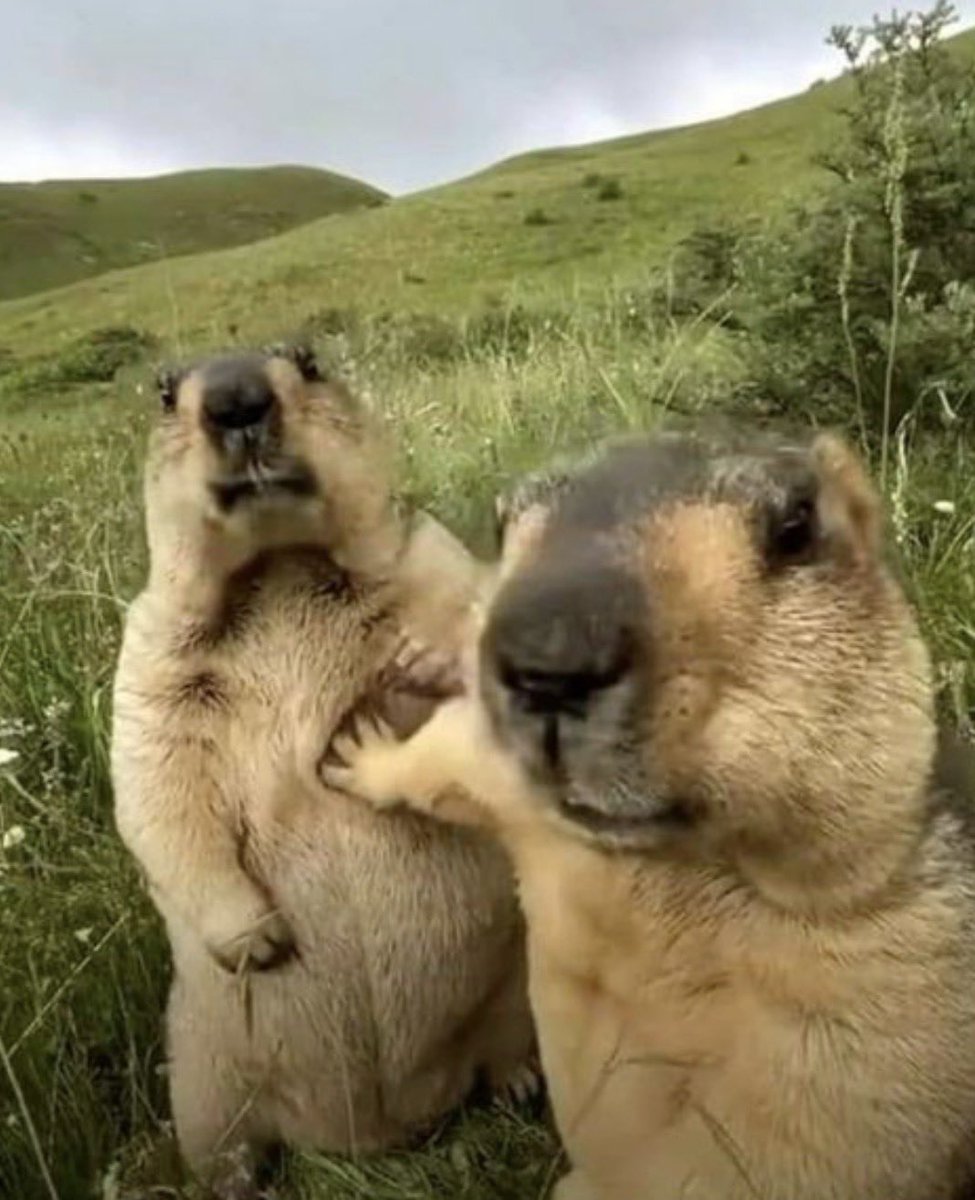 Mint man tweet media