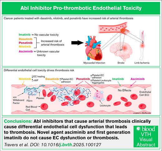 Blood Journals Portfolio tweet media