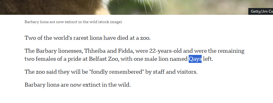 Booolish tweet media