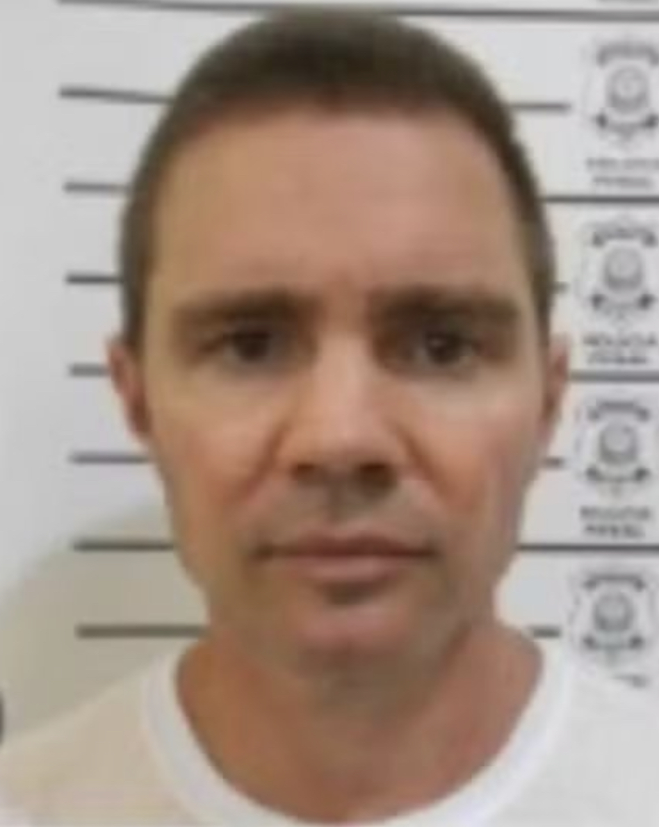 Código dos Lobos △ tweet media