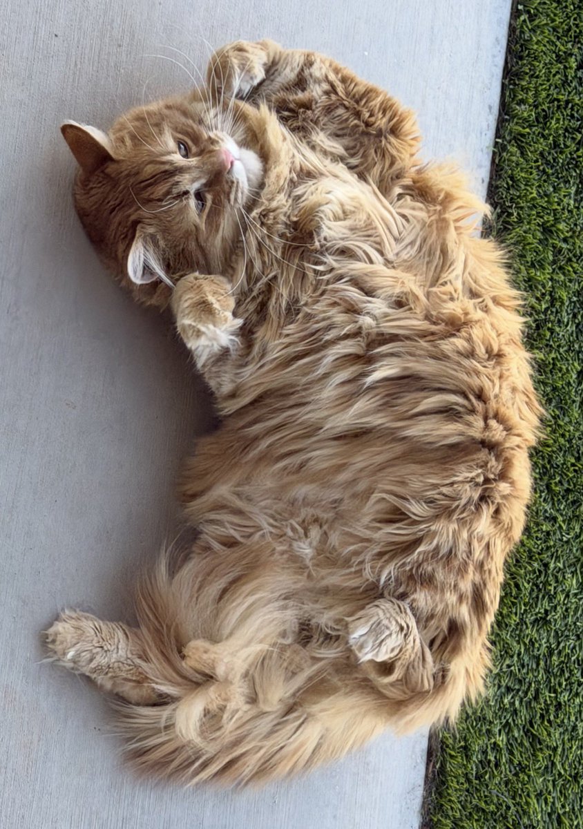 Andrew McCarthy tweet media