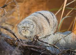 HitmanVere tweet media