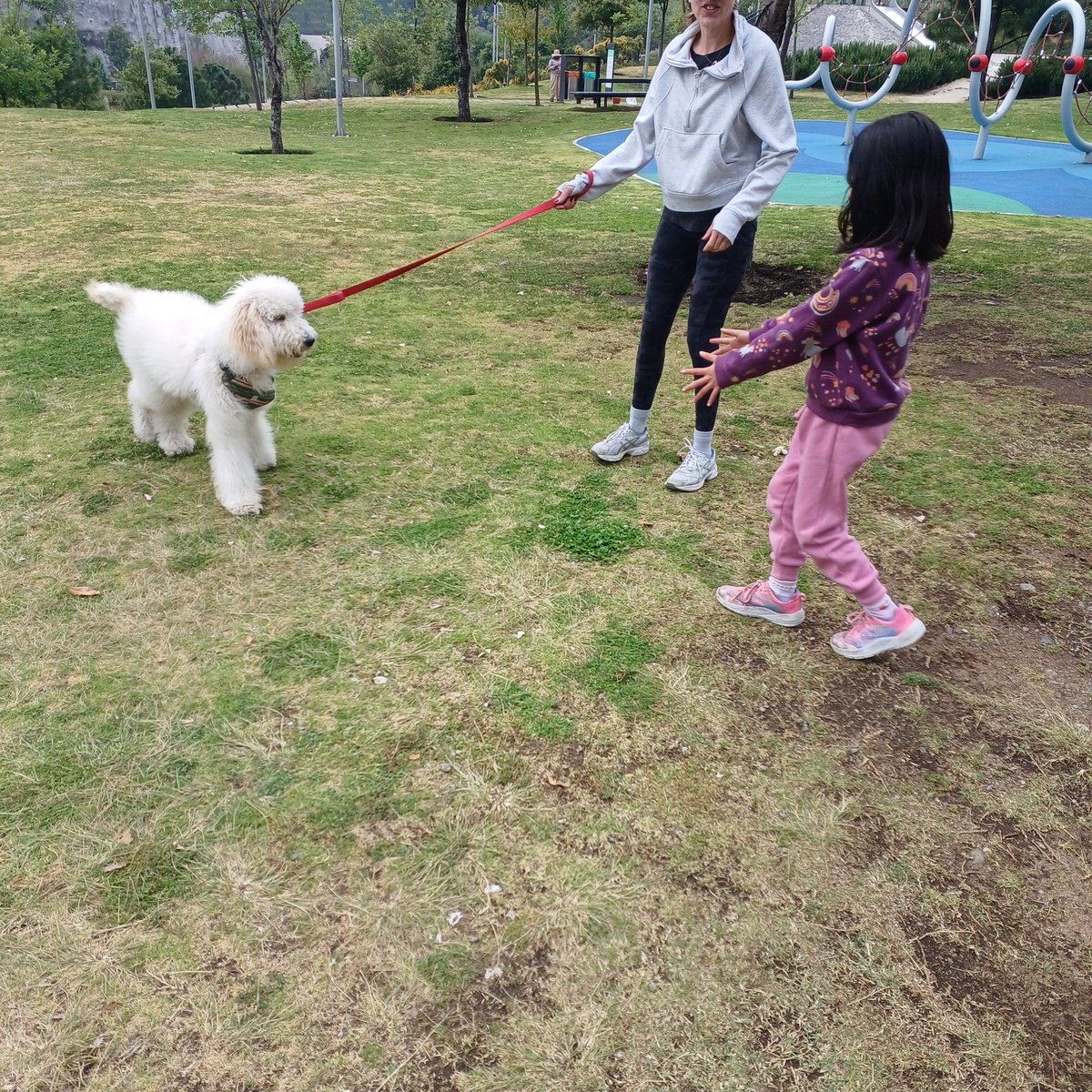 Tenemos un nuevo mejor amigo 🥰🥰