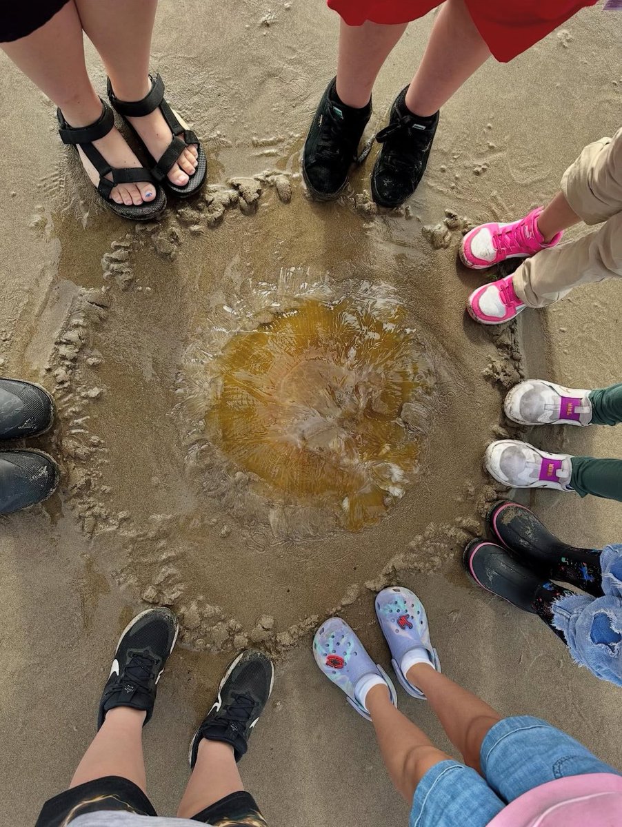 OR Dept of Education tweet media