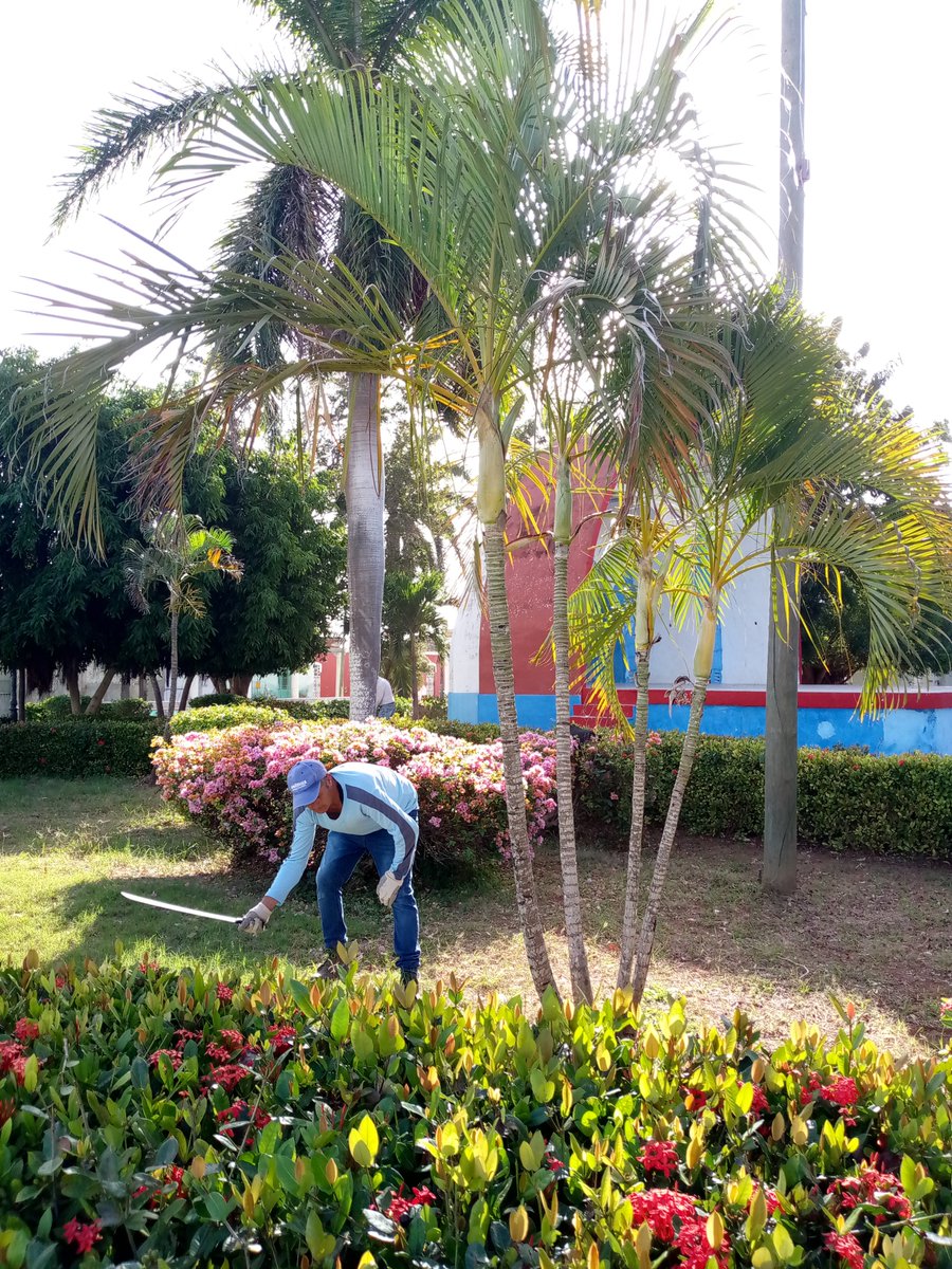 Magalys95494978's tweet photo. Trabajadores de la #ESPCE, Participando hoy en las labores de higienización de la Ciudad de #PuertoPadre. #LasTunas.#Cuba.
La ciudad se transforma. https://t.co/xVP53SvAgW