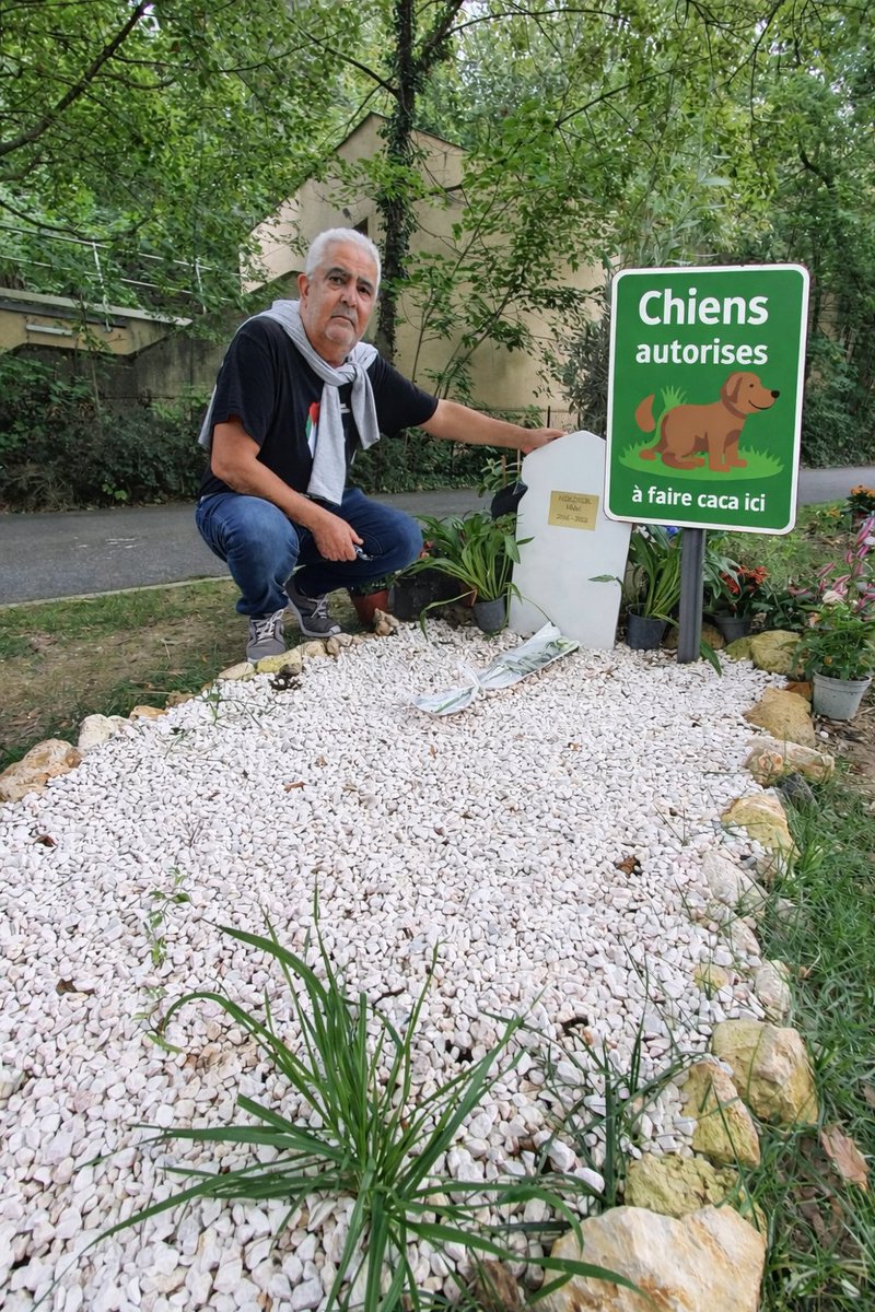 Vendeur à la sauvette tweet media