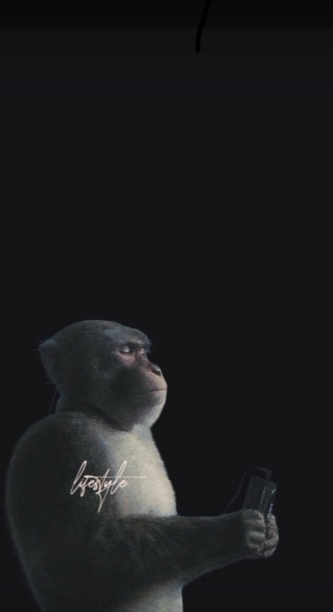 𝐄𝐍𝐎𝐂𝐄𝐍𝐓. ✚ 👤 tweet media