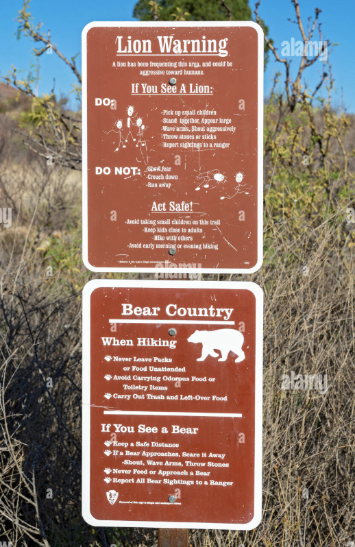 Dade Phelan tweet media