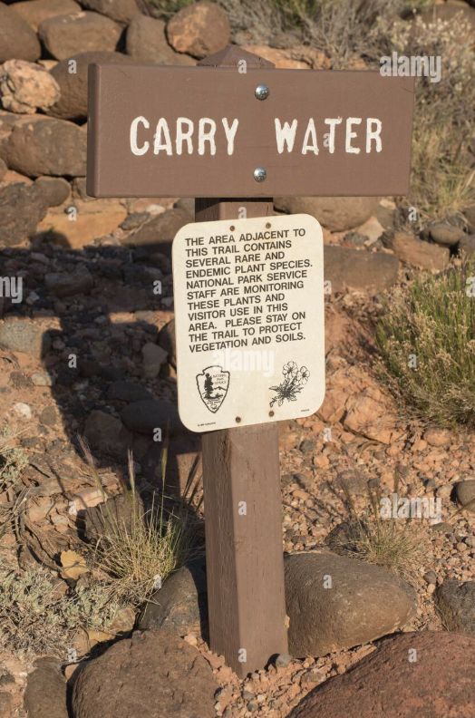 Dade Phelan tweet media