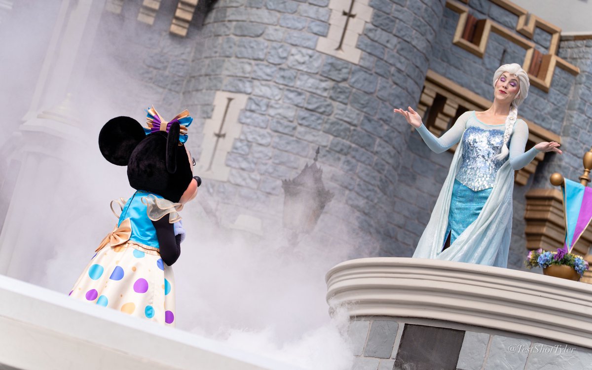 Test Shot Tyler tweet media