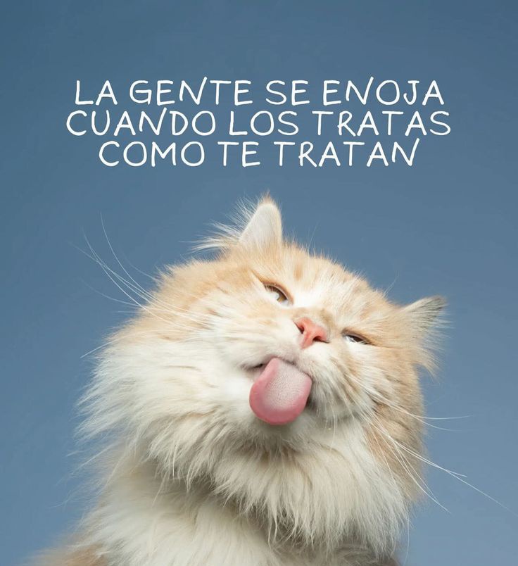 Si no te gusta lo que obtienes revisa lo que das...