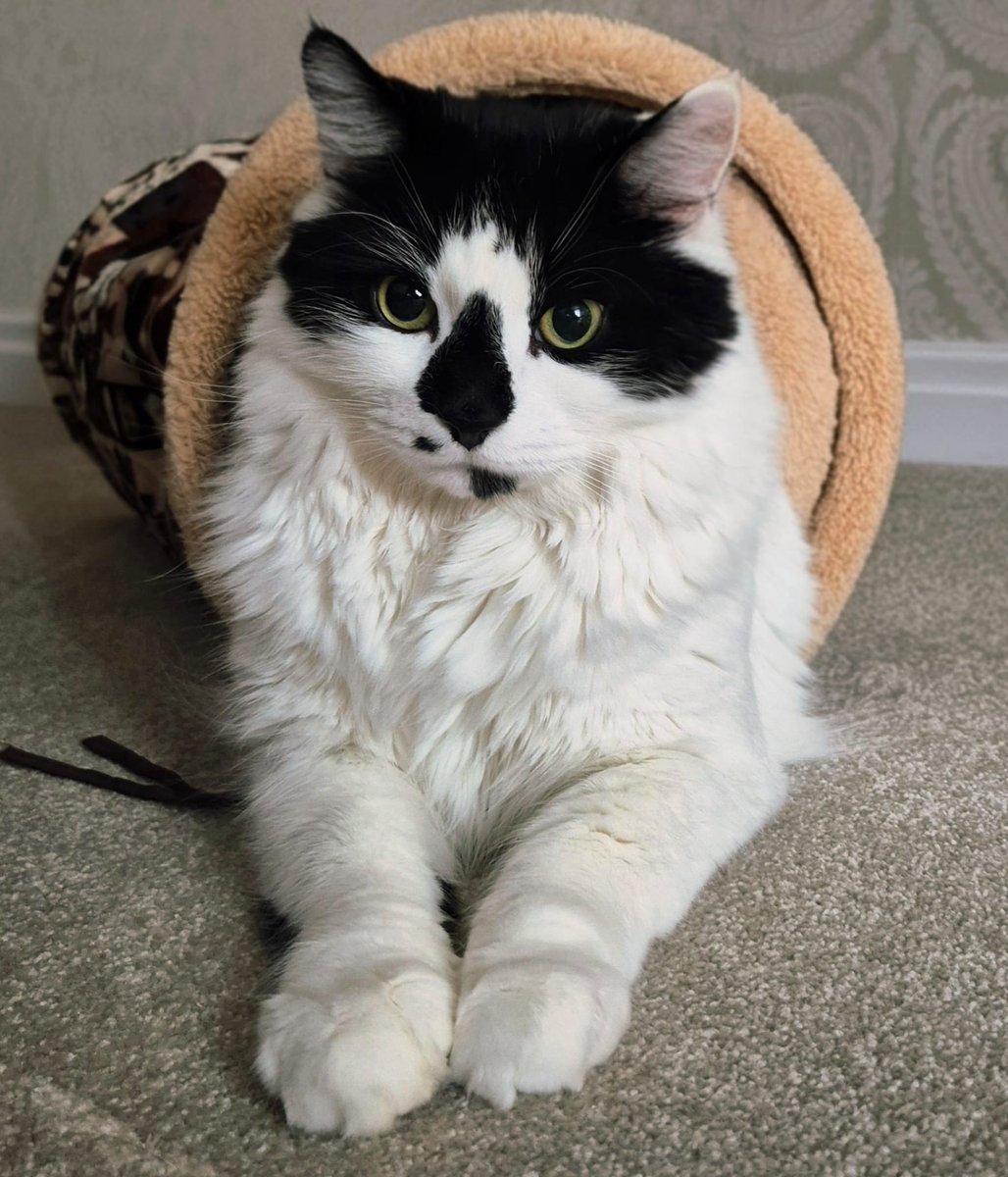 Graham Wright tweet media