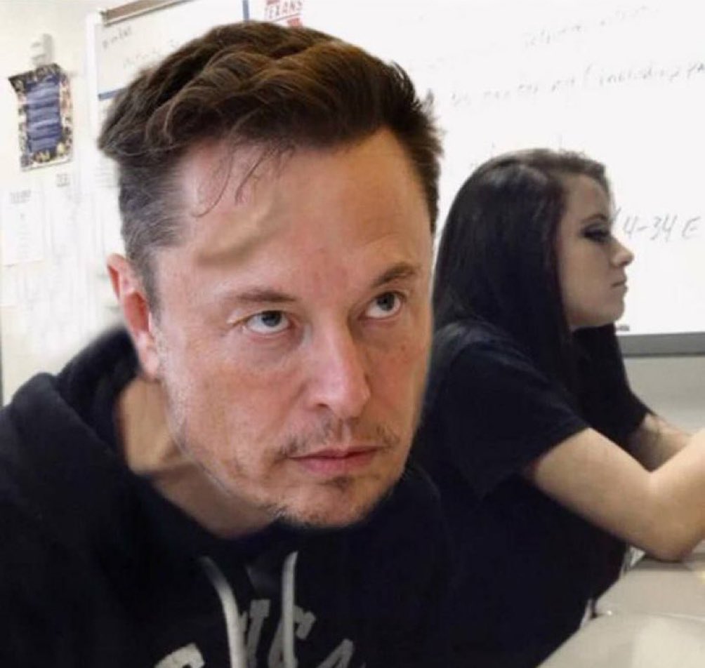 Not Elon Musk tweet media