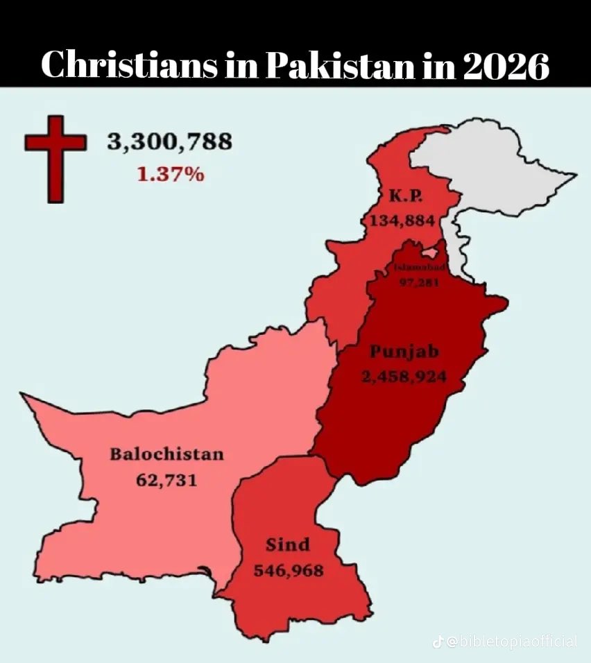 Tesla and Doge tweet media