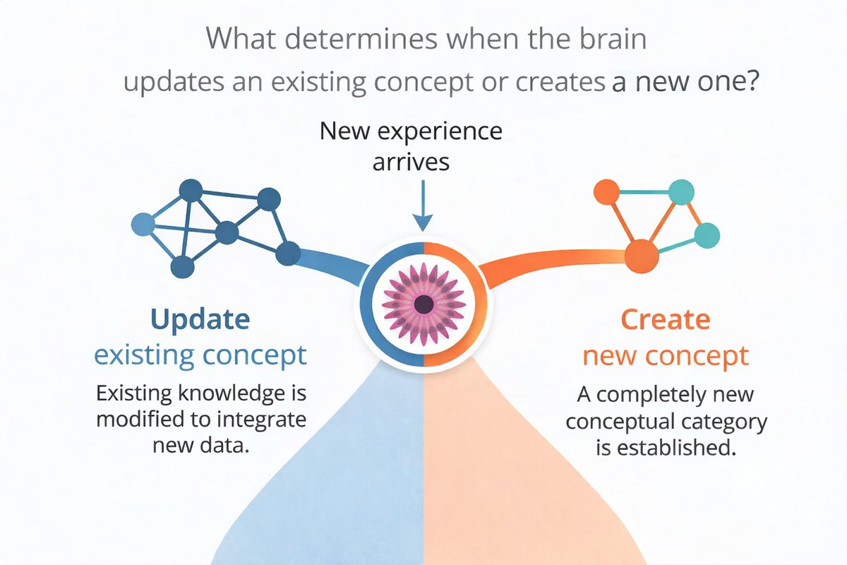 Alison Preston tweet media