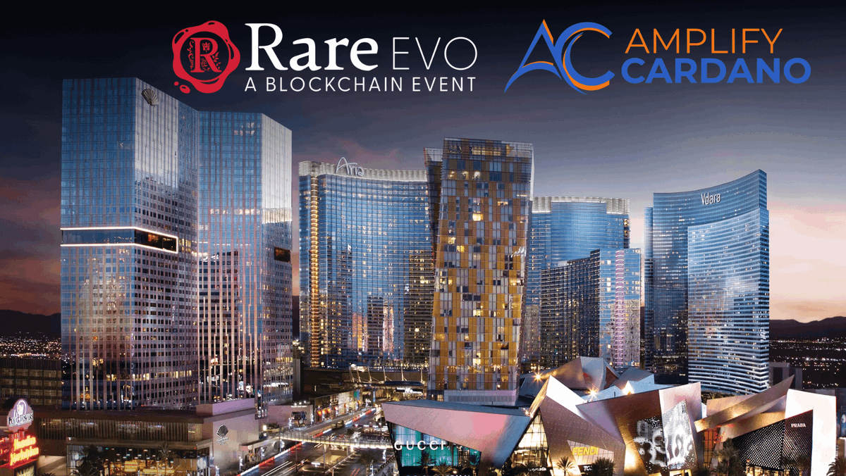 Rare Network tweet media