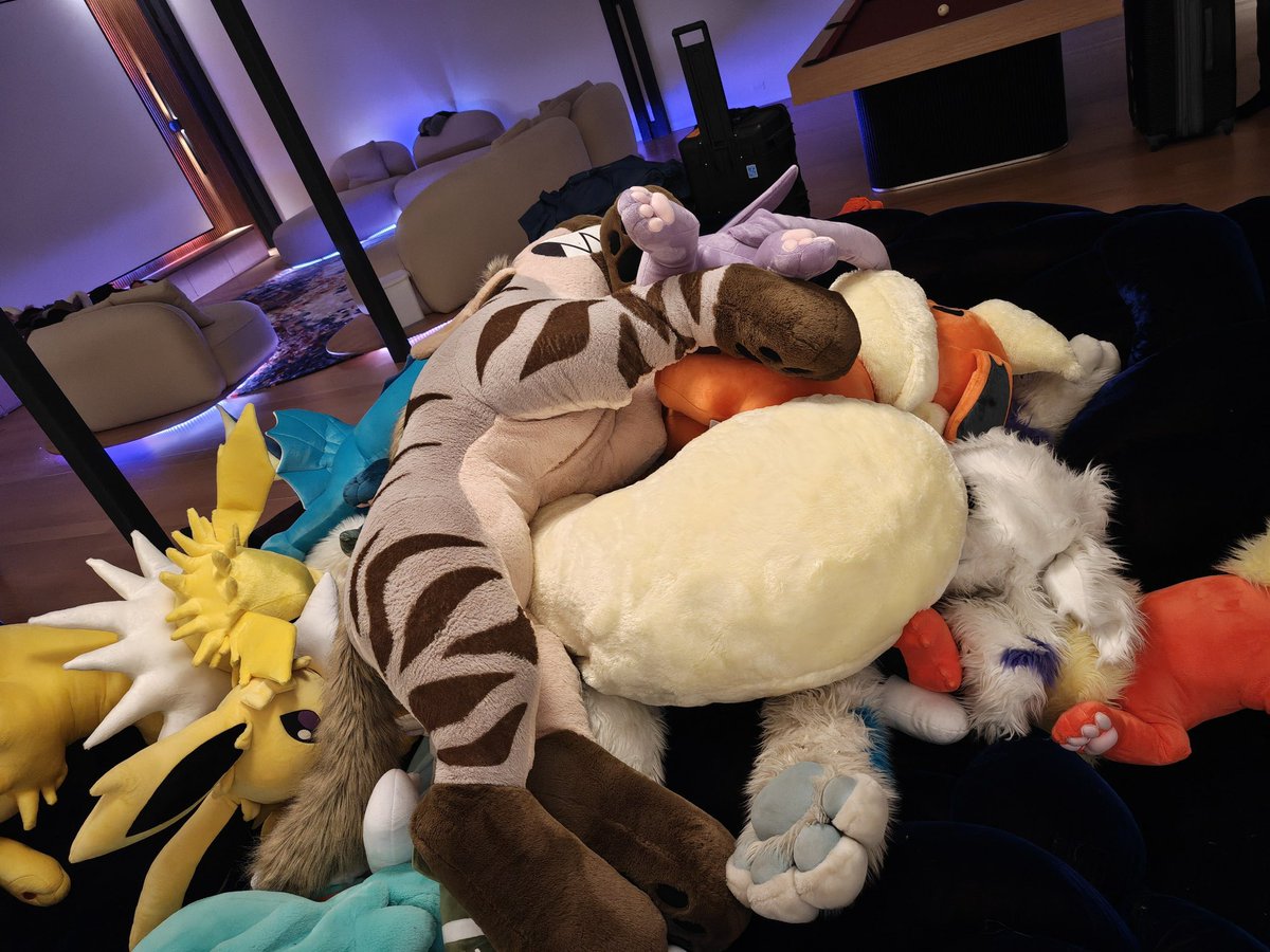 Flopsy Fluffyfluff 🐶 🔜 LVFC tweet media