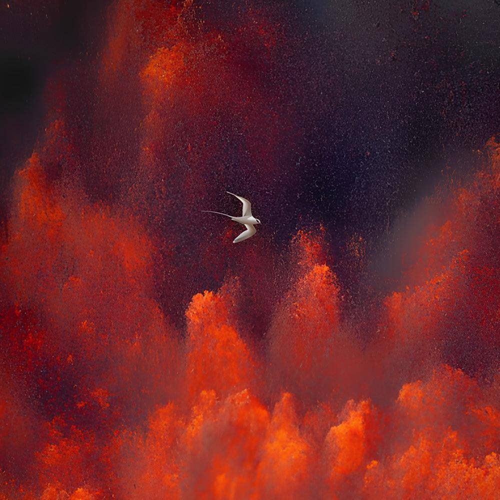 CryptoCapt tweet media