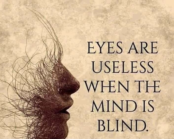 🇺🇸 Dave 🇺🇸 tweet media