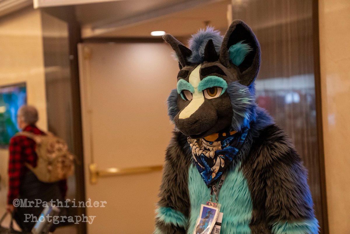 Demi 🔜 TFF, LVFC, FWA tweet media