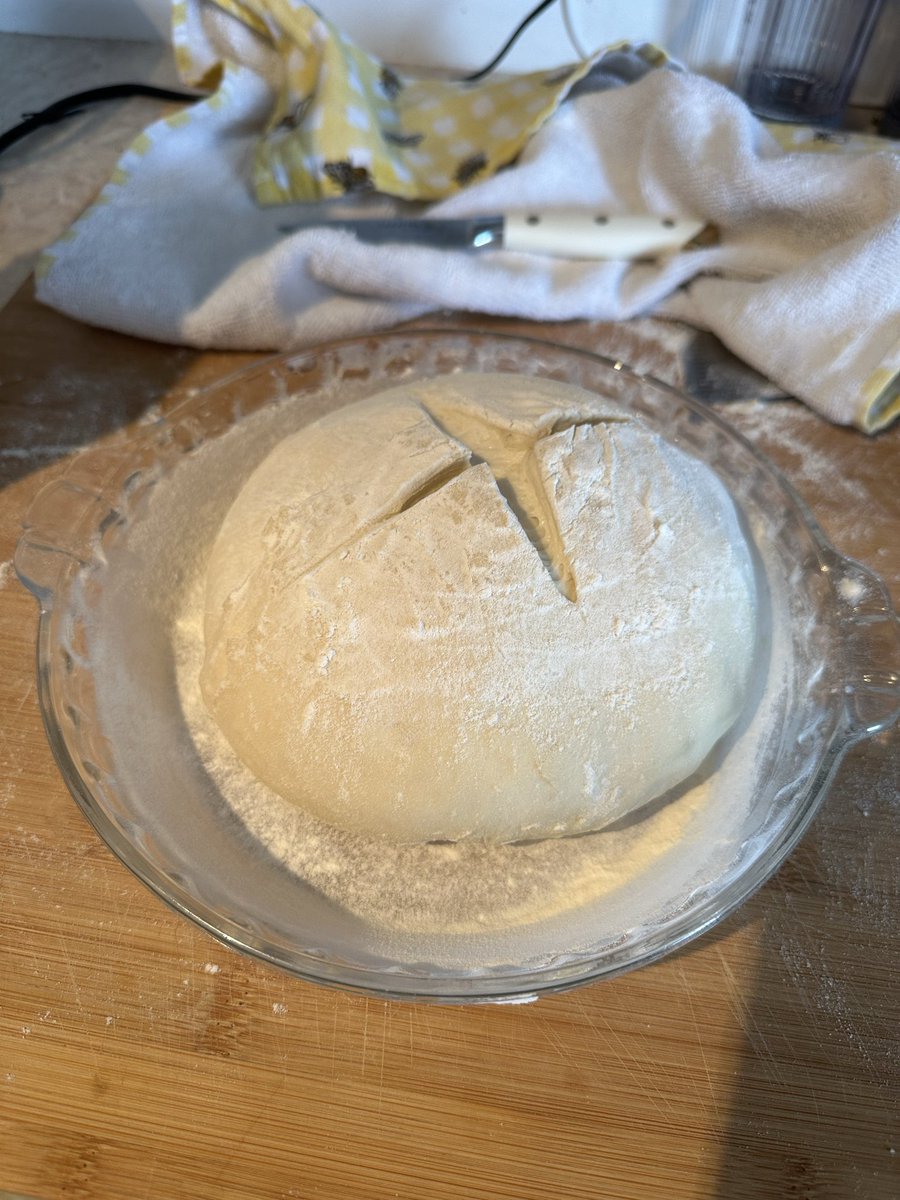 angerkOwO's tweet photo. Hoy ha tocado tener un pan-hijo con @CrostiCrunch (Y que rico que está) https://t.co/TB13wpWiyL