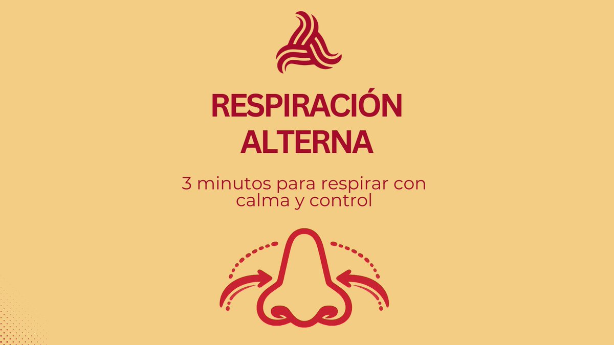 EpocEspana's tweet photo. 🌺 Respiración alterna (nariz)

La respiración alterna es una técnica que ayuda a mejorar el control del aire y a favorecer la concentración y la calma.

✅ Solo necesitas unos minutos y un lugar tranquilo.
✅ Consiste en alternar la respiración entre una fosa nasal y la otra.
✅ Un ejercicio sencillo para concentrarte en tu respiración.

💡 Esta técnica puede ayudarte a calmar la mente y a mejorar el control de la respiración en tu rutina de autocuidado respiratorio.

👉 Desliza el carrusel para ver el paso a paso.

#EPOC