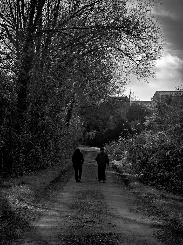 M1Κ4_3L tweet media