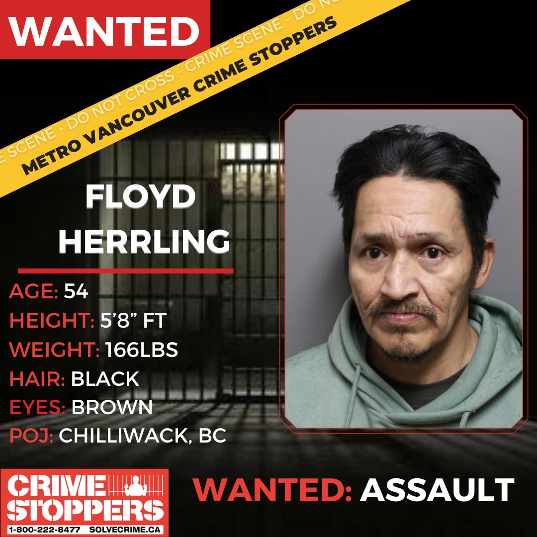 Crime Stoppers tweet media