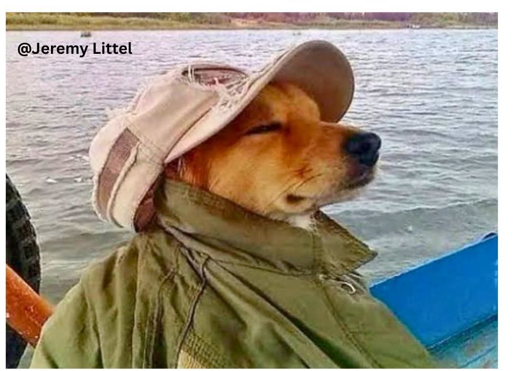 🇳🇬🇳🇬 𝖞𝖔𝖚𝖓𝖌💲𝖒𝖔𝖓𝖊𝖞 🇨🇦🇨🇦 tweet media