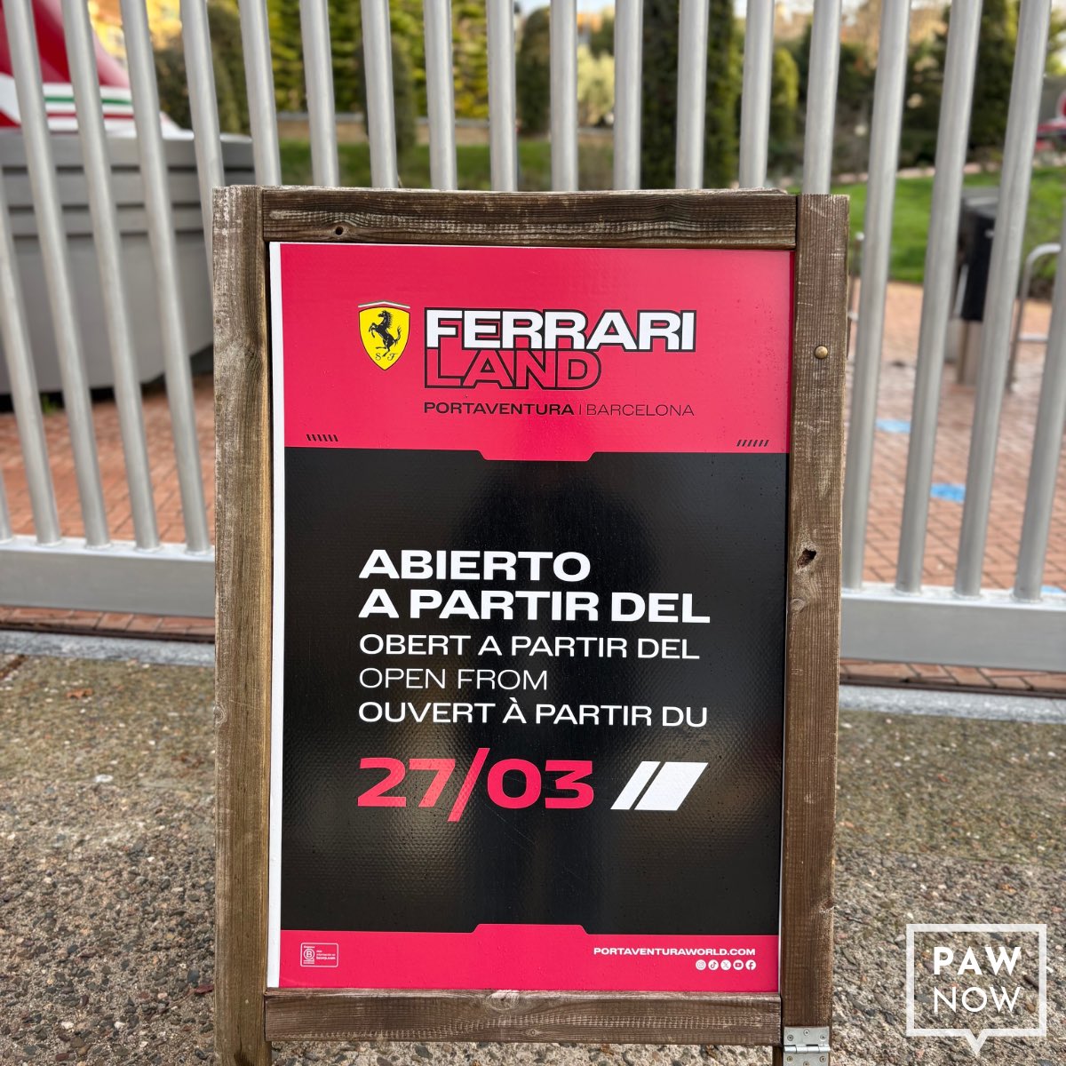 PAW Now 🌐 tweet media