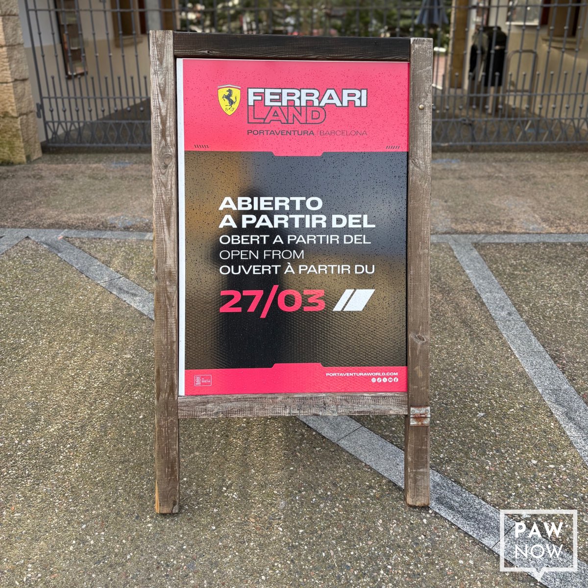 PAW Now 🌐 tweet media