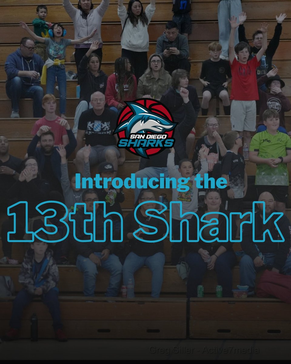 San Diego Sharks tweet media