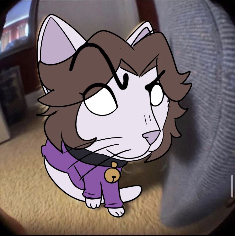 BurTreex (Comm Close) tweet media