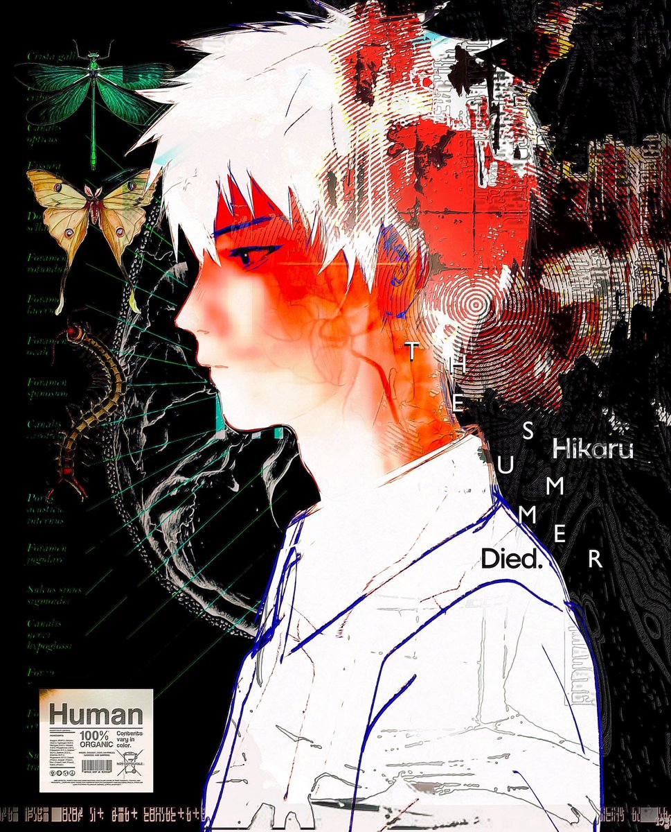 the summer hikaru died