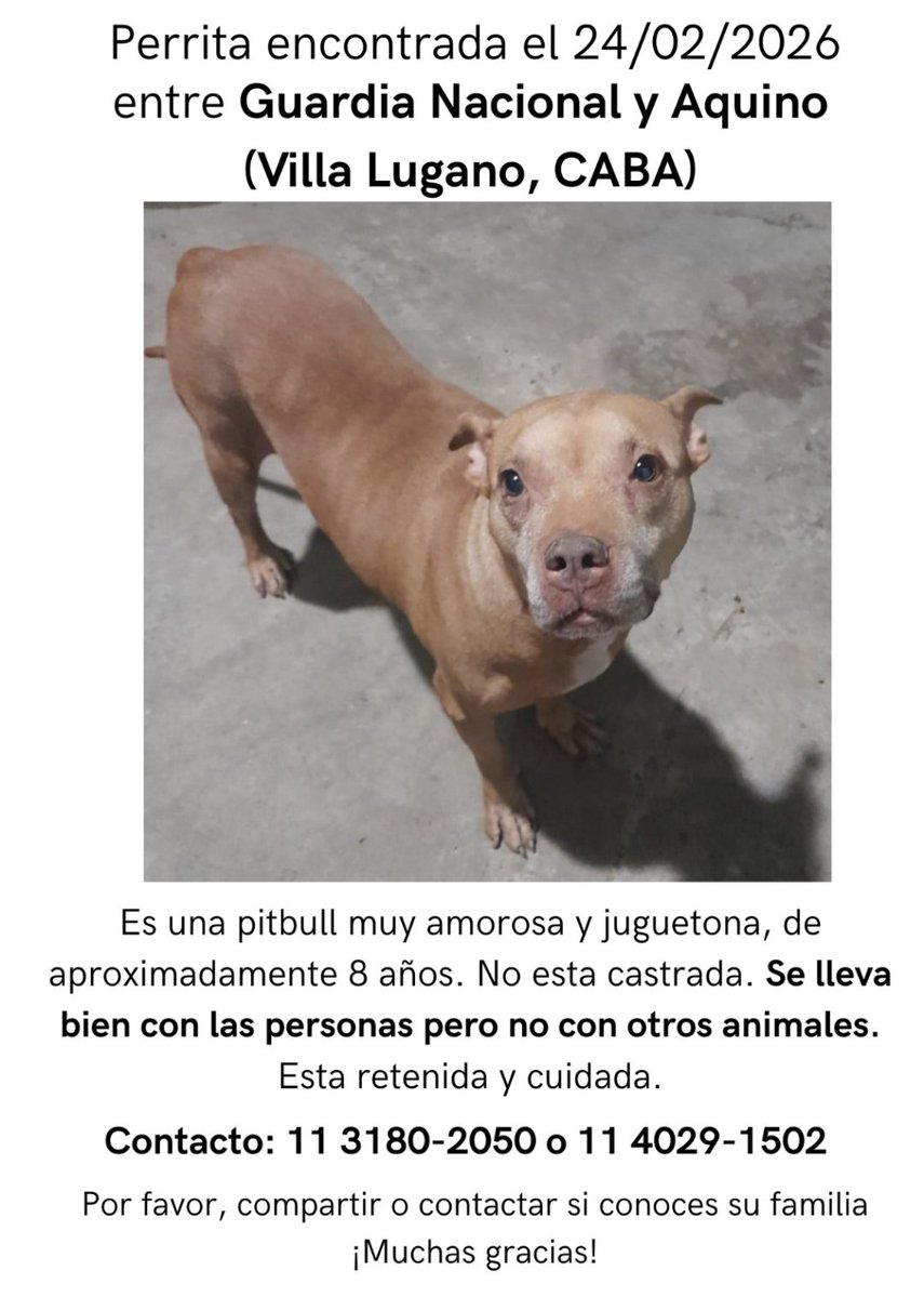 solo animales (@paraellostodo) on Twitter photo 