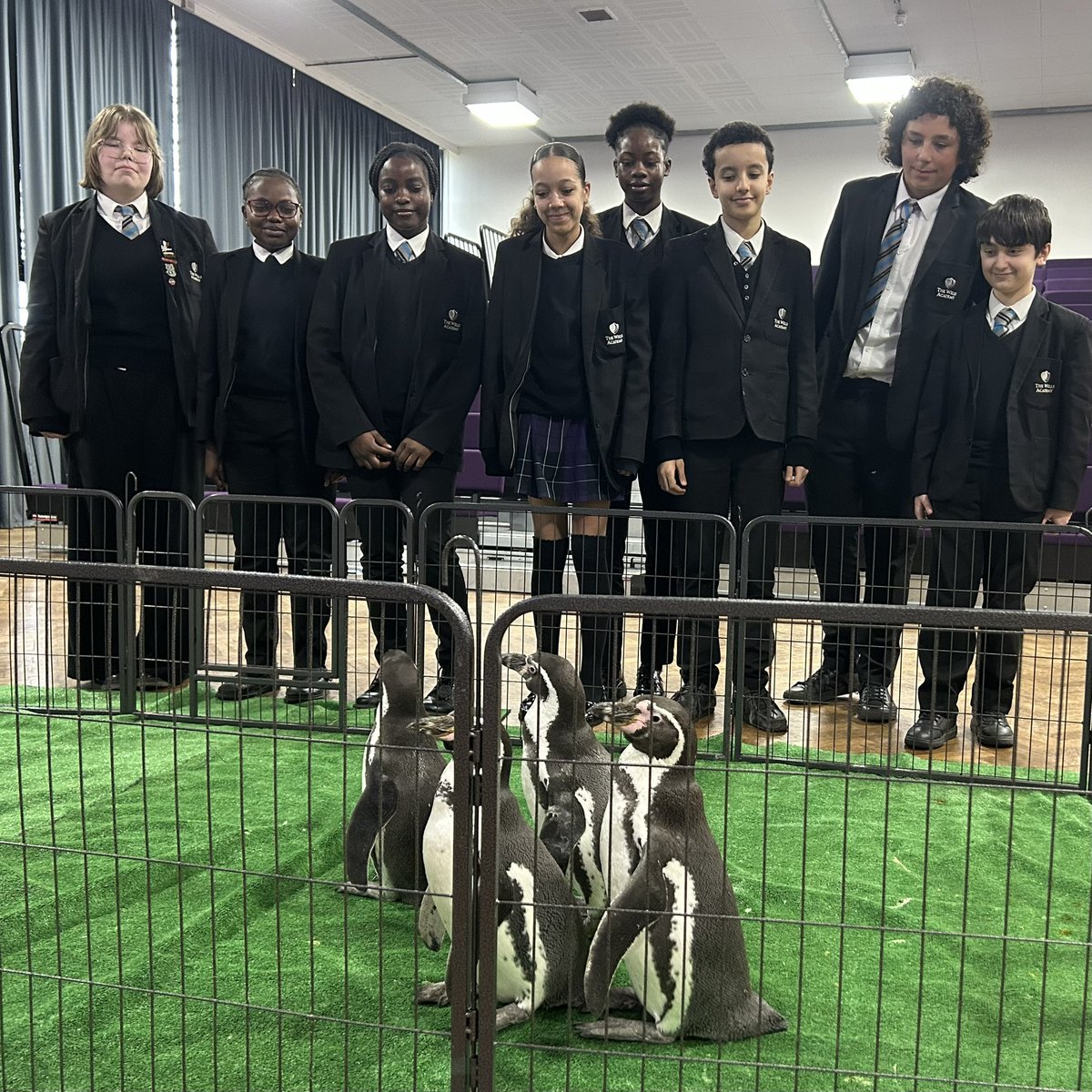 The Wells Academy tweet media