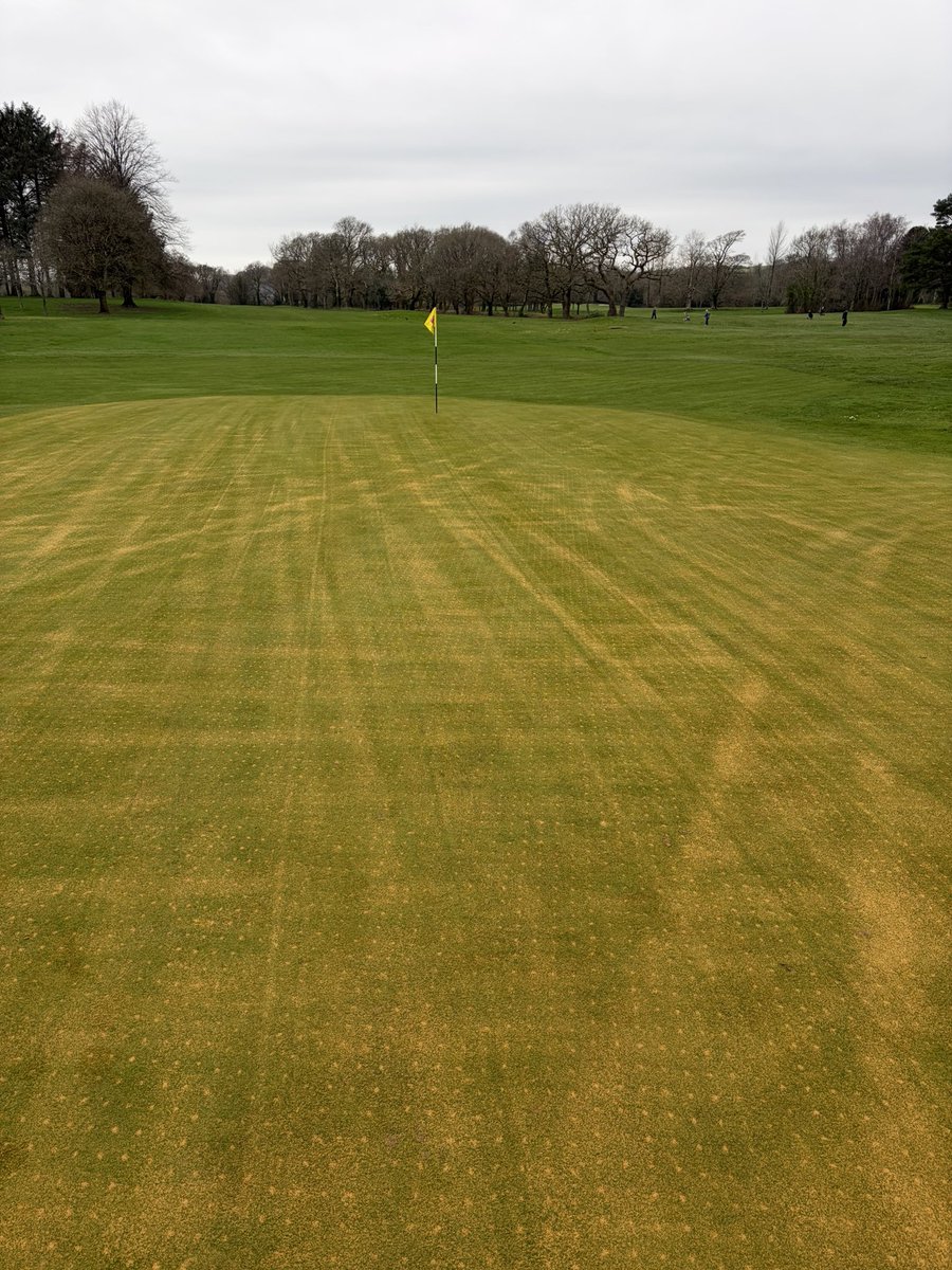 Radyrgreenkeep1's tweet photo. Productive week on the course,weather certainly helped. https://t.co/ZwMvrHzxgC