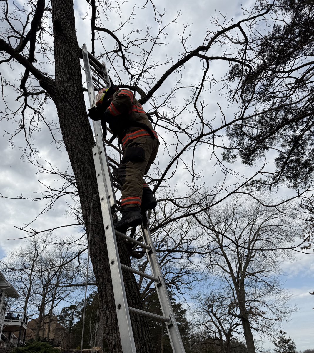 Boone County Fire tweet media