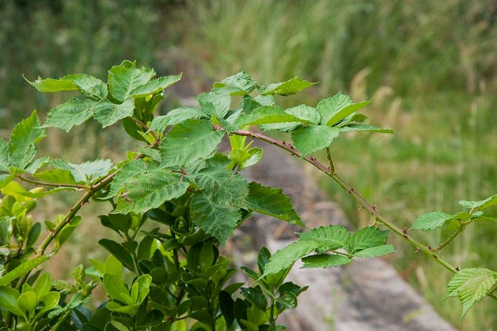 Graham Barnfield tweet media