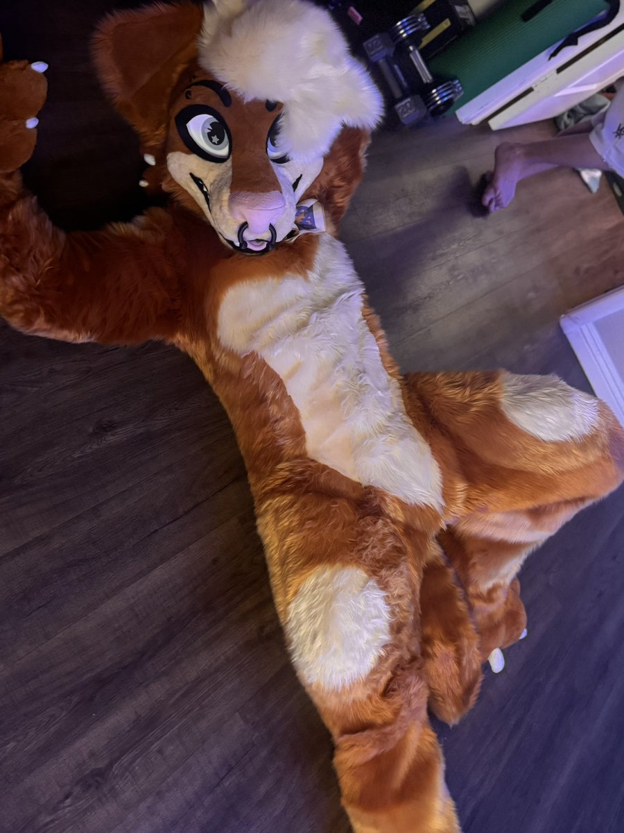 DJ 💪🐶 🔜 LVFC, EDC tweet media