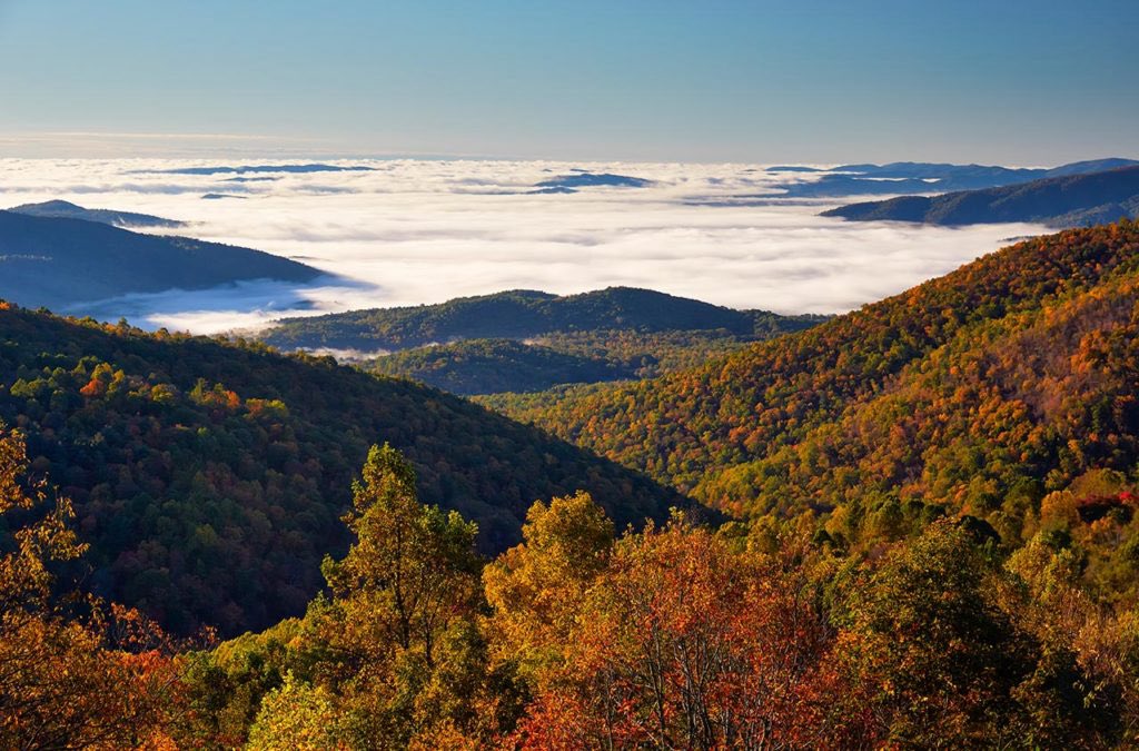 HistoryWJacob's tweet image. Posting the most beautiful picture I find from each state.

Day 46: VIRGINIA