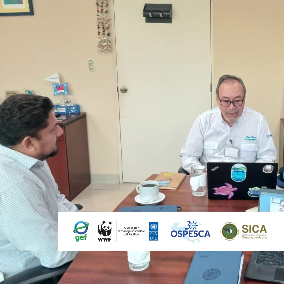 WWF Mesoamérica tweet media