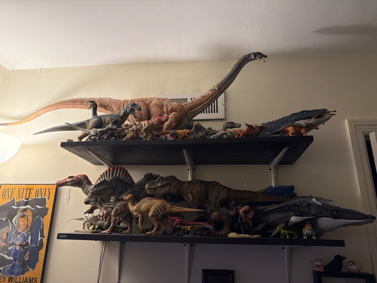 Erica🦕 tweet media