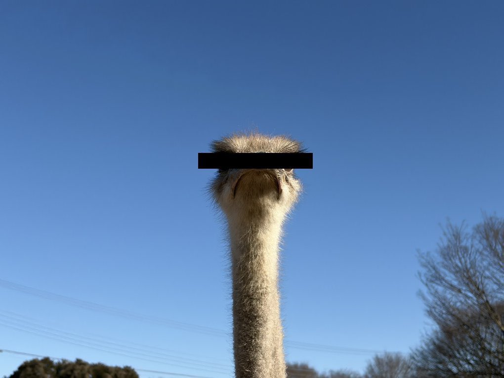 ومضة tweet media