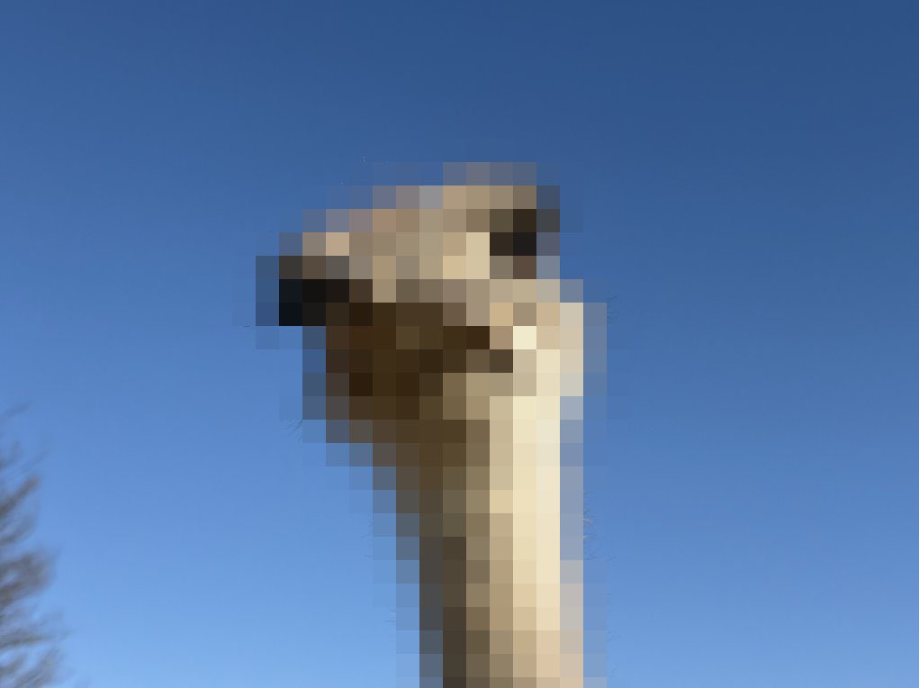 ومضة tweet media