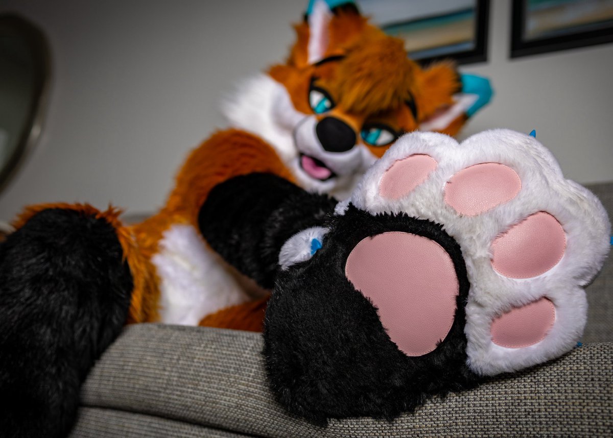 Autumn 🦊🔜TFF tweet media