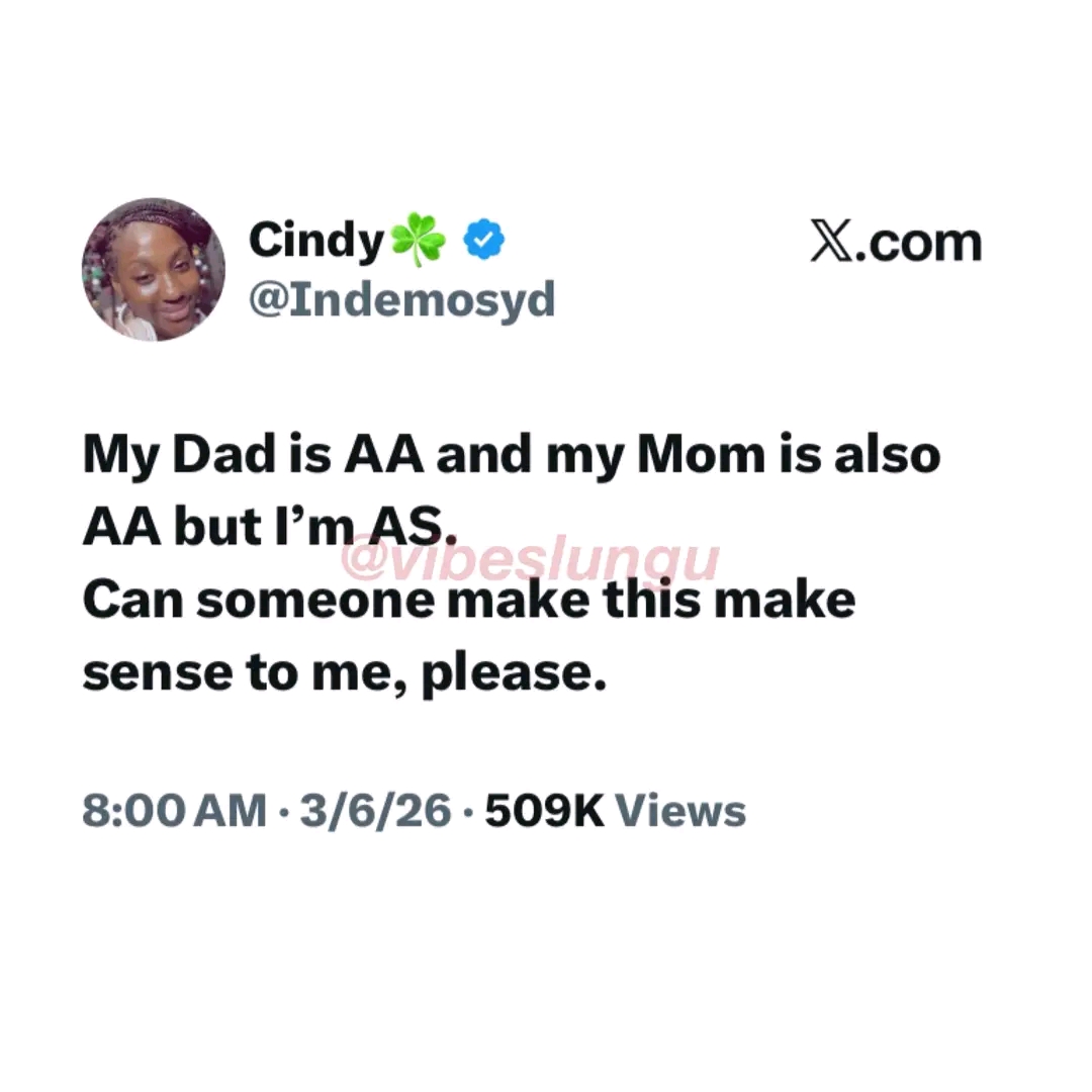 BIGSHARK tweet media