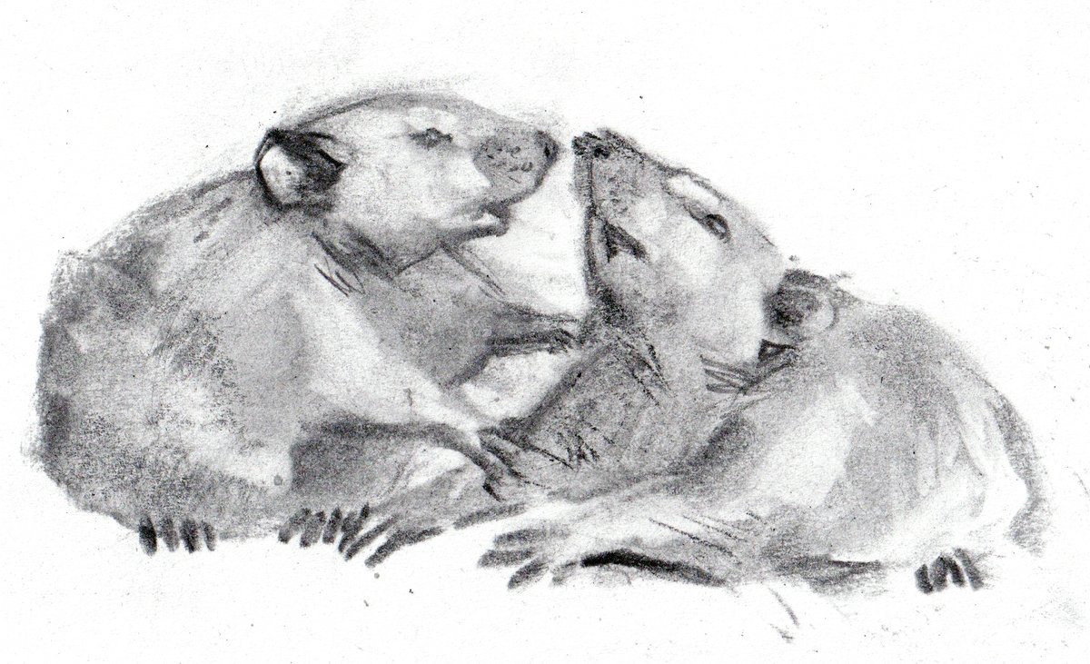 хтось tweet media